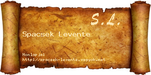 Spacsek Levente névjegykártya